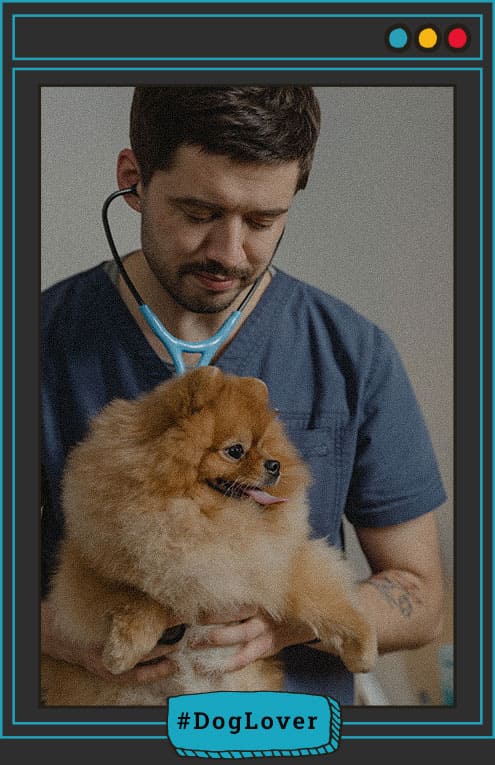 El papel de los veterinarios para fortalecer el vínculo con tu perro 