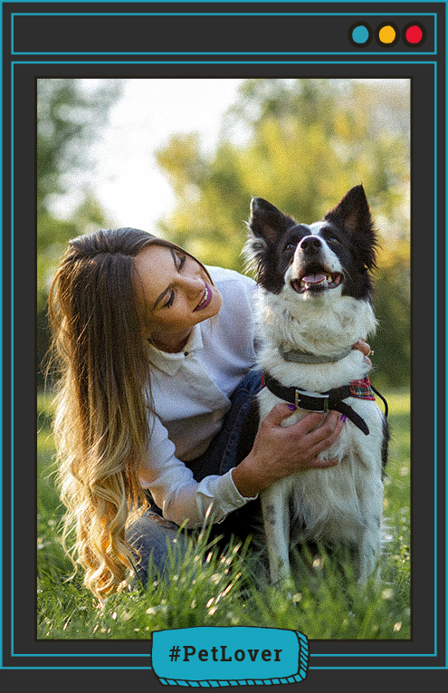 señales de desequilibrio hormonal en perros
