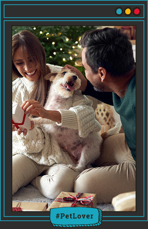 qué hacer si mi perro se estresa en reuniones familiares