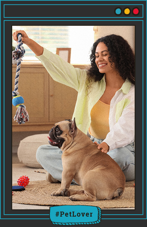 preparación del perro para visitas