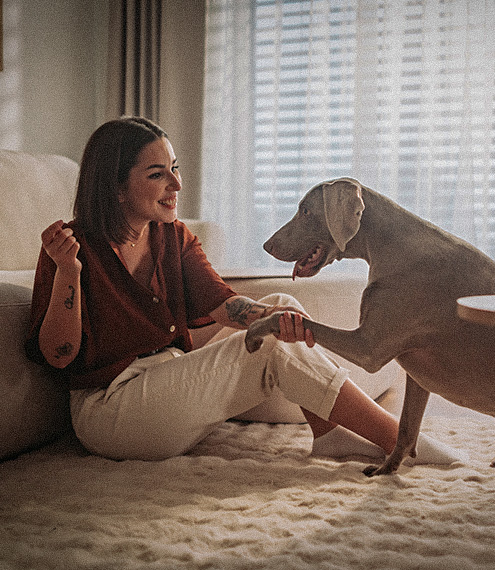cómo ayudar a mi perro en Navidad