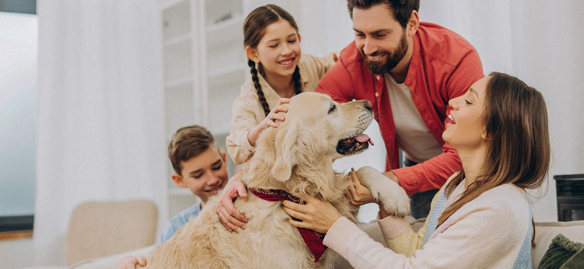 cómo ayudar a mi perro en Navidad