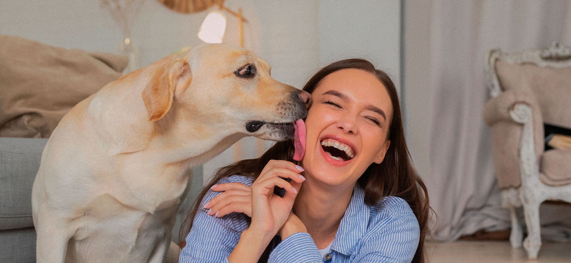 alimentos que causan mal aliento en perros