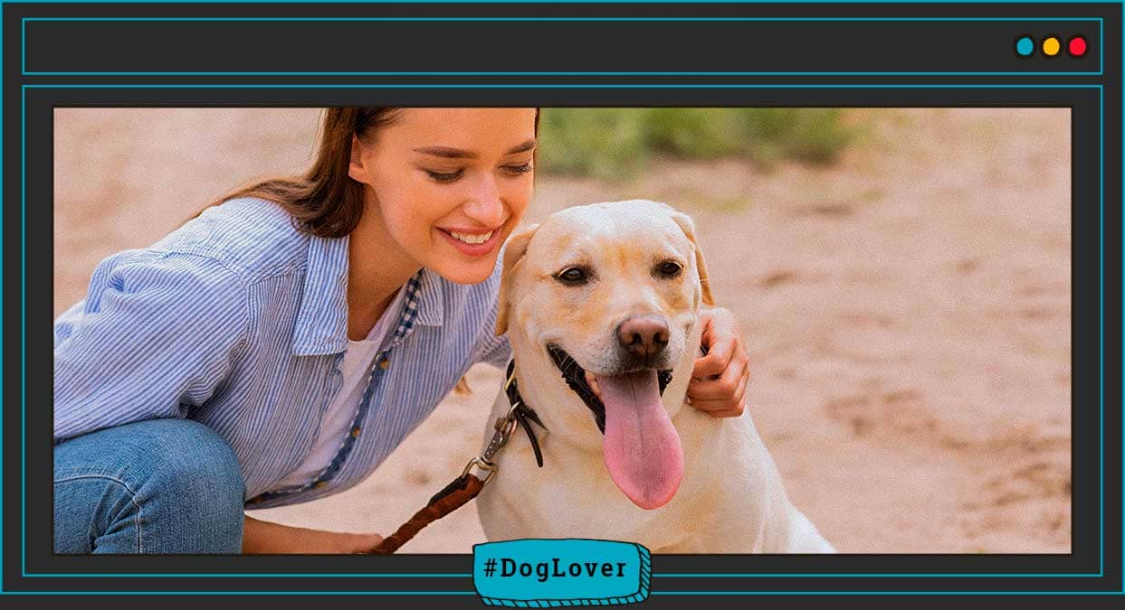tratamiento para el mal aliento en perros