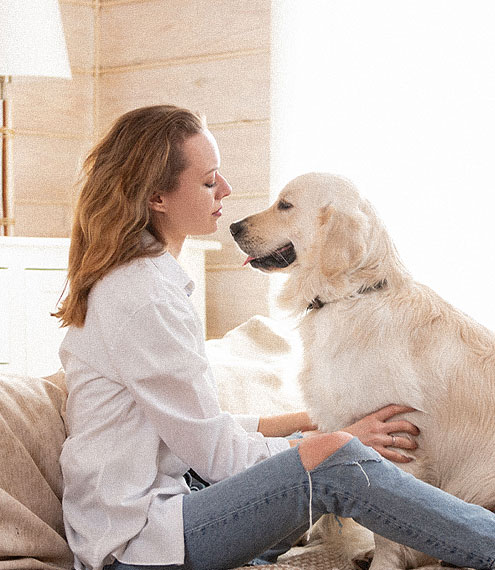 pubertad en perros machos