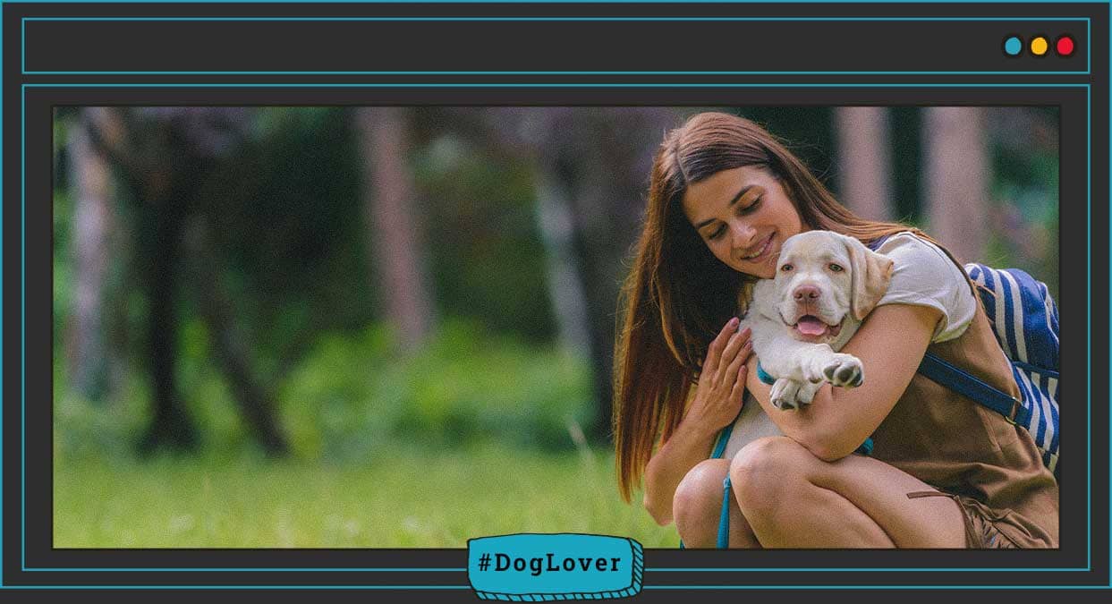 que es bueno para la diarrea en perros