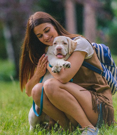 que sirve para la diarrea en perros