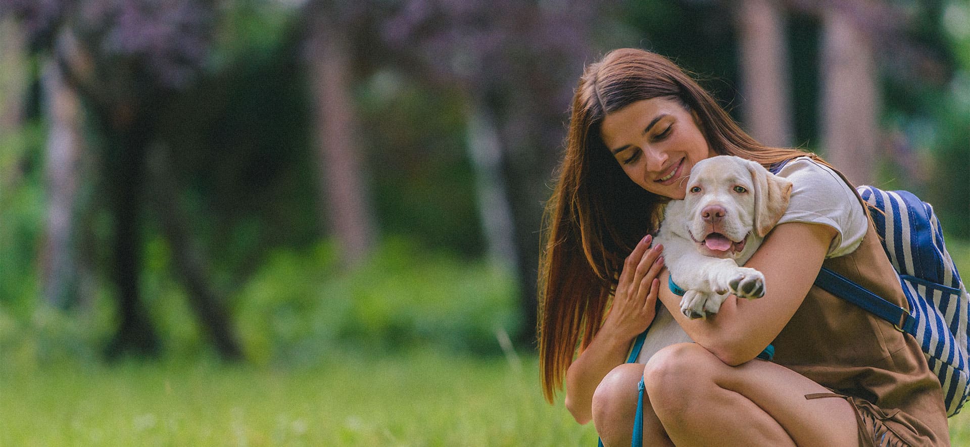 que sirve para la diarrea en perros