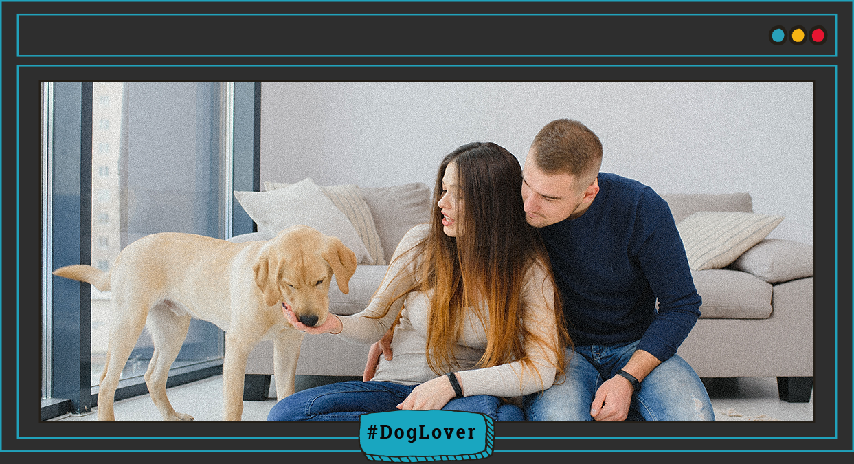 qué síntomas tiene un perro cuando está mal del hígado