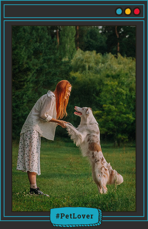cómo ayuda tener un perro en momentos difíciles