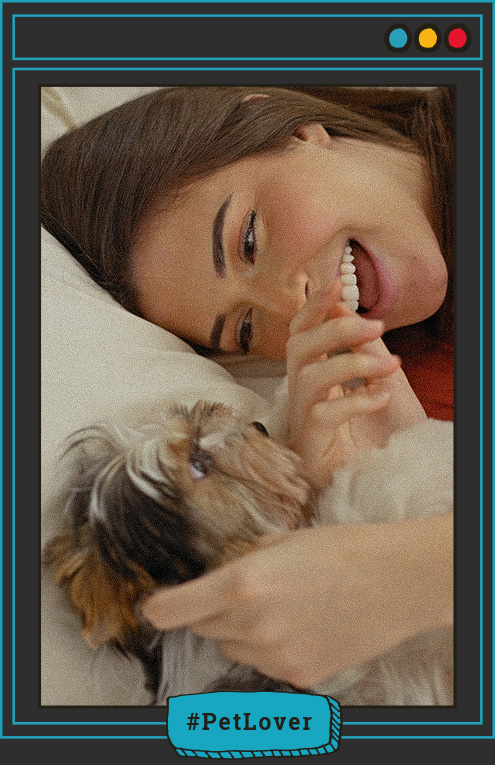 qué hacer si mi perro tiene ansiedad o estrés