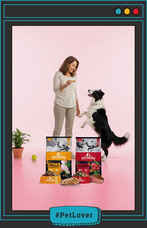 cambio de sabor en la dieta canina