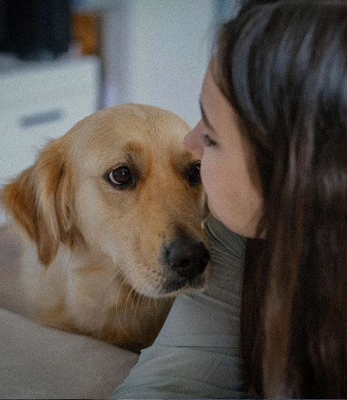  Perros de apoyo para el bienestar emocional