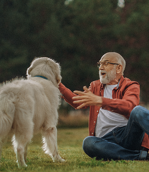 cómo un perro mejora la vida de los adultos mayores