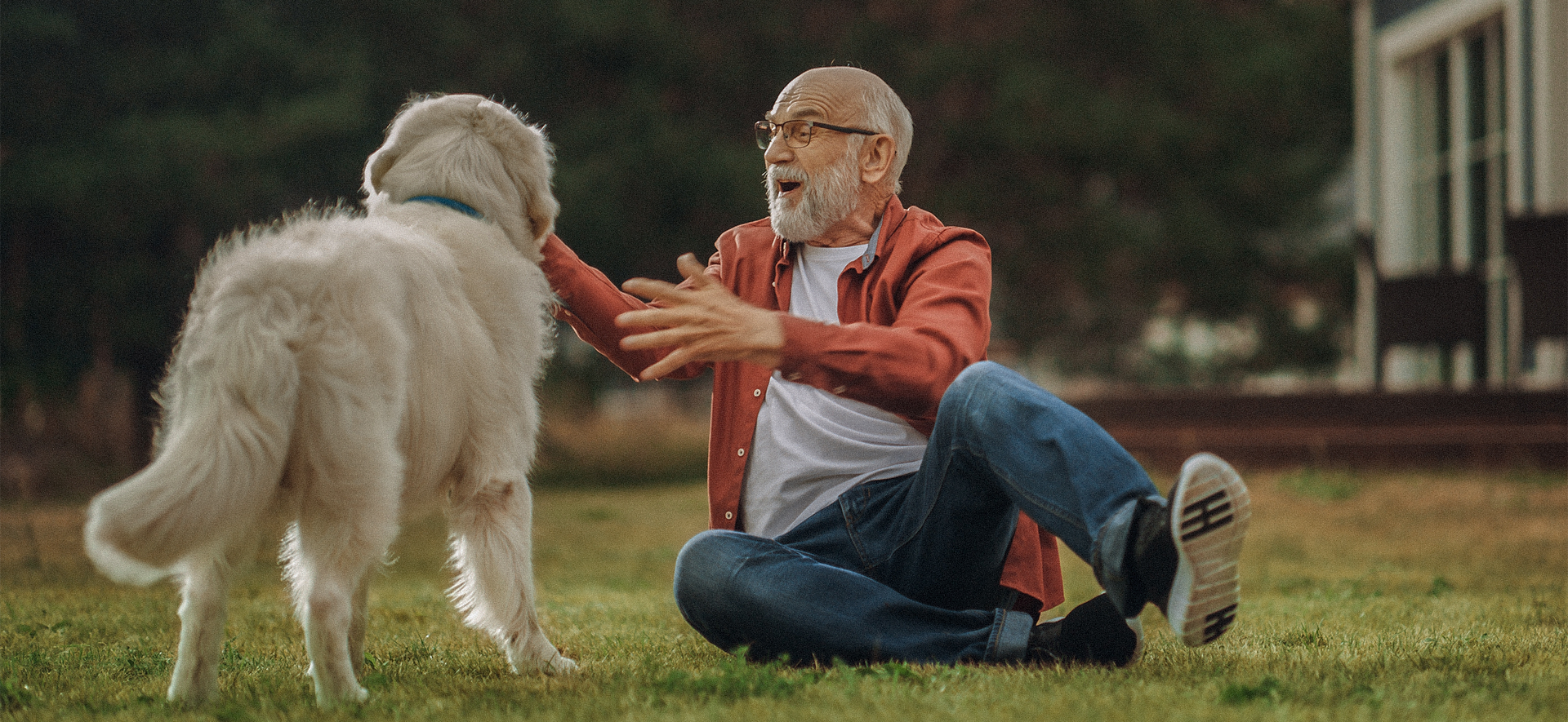 cómo un perro mejora la vida de los adultos mayores