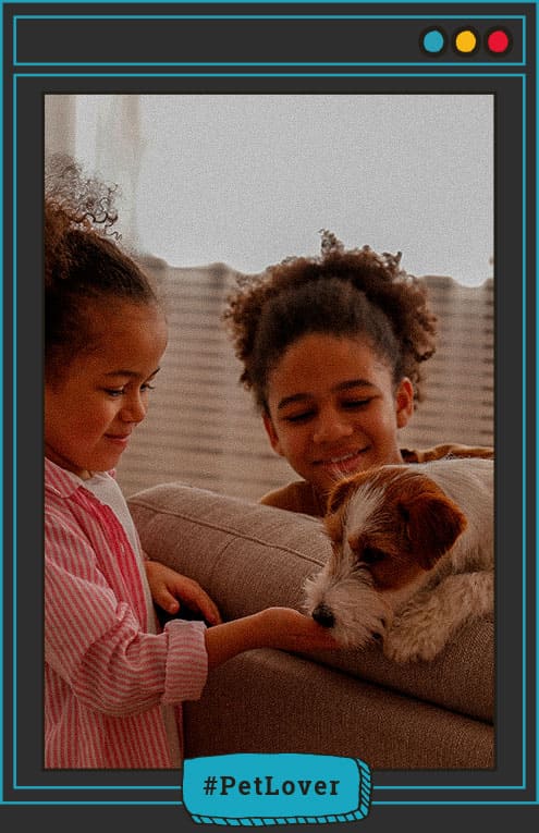 consejos para cuidar a tu perro con diarrea