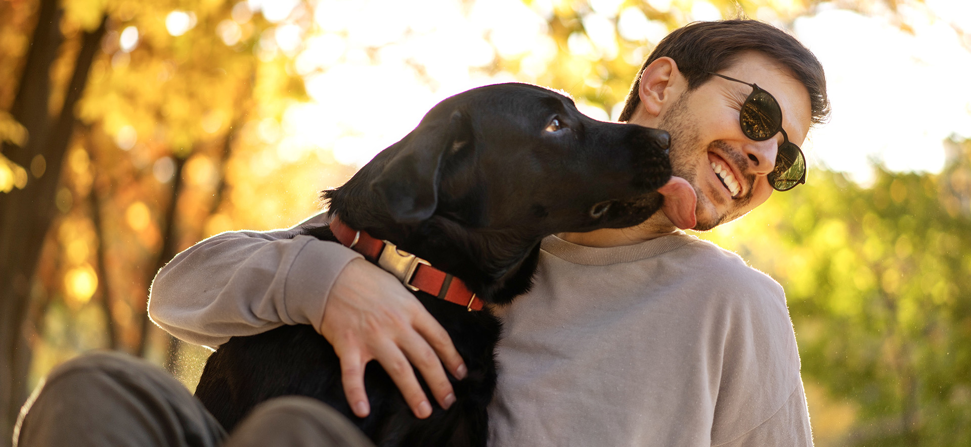 efectos positivos de los perros en las personas
