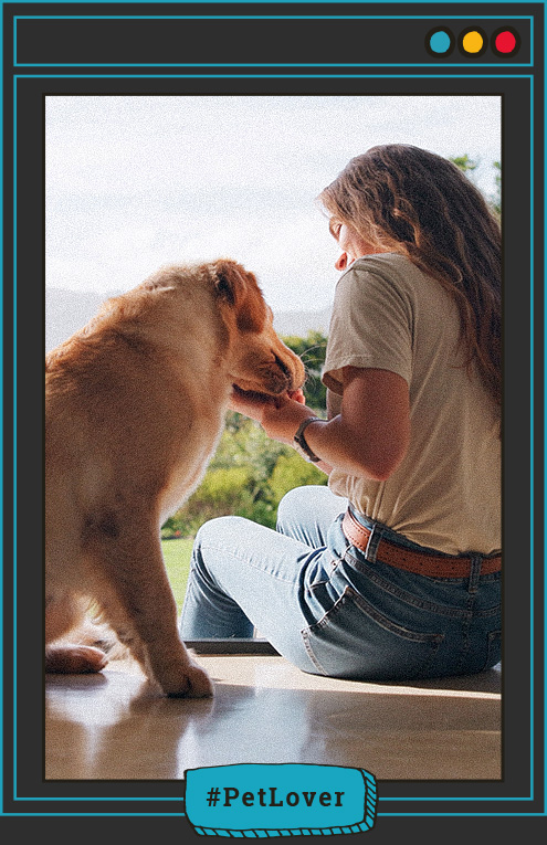 cómo saber si debo cambiar el concentrado de mi perro