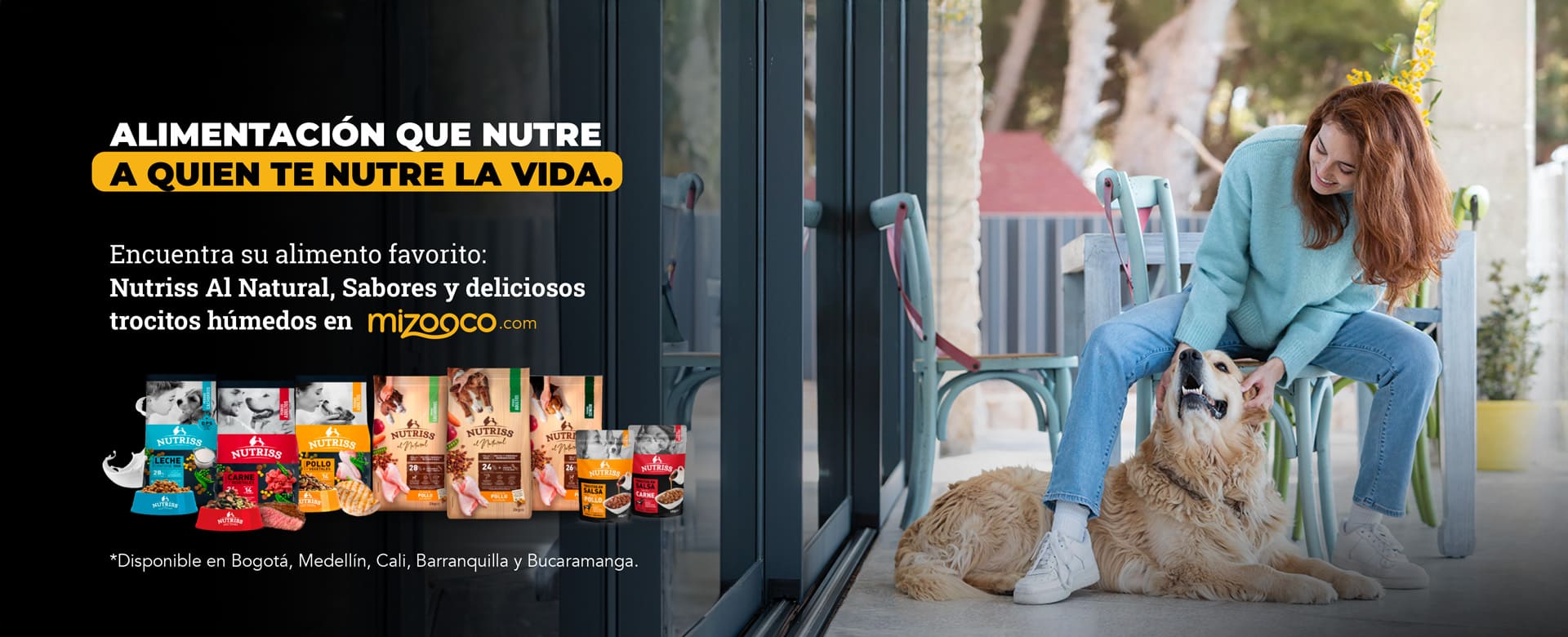 Banner mizooco 2025