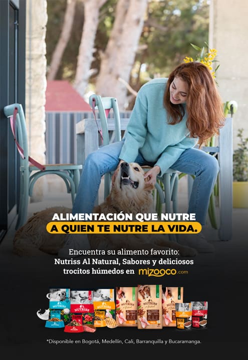 Banner mizooco 2025