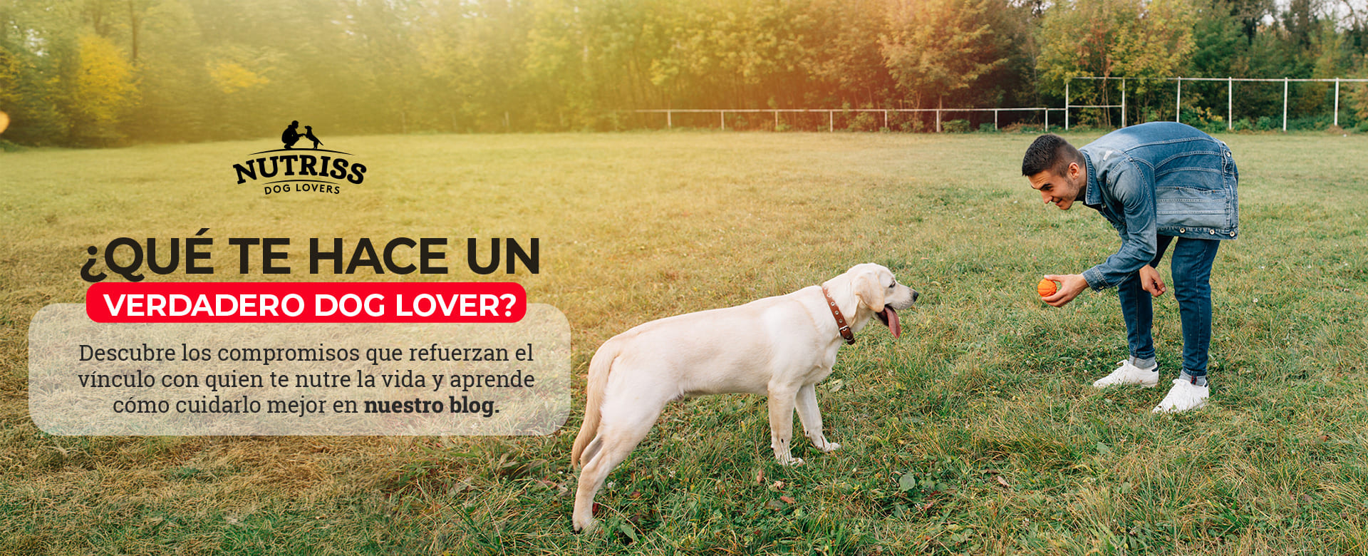 Banner verdadero dog lover