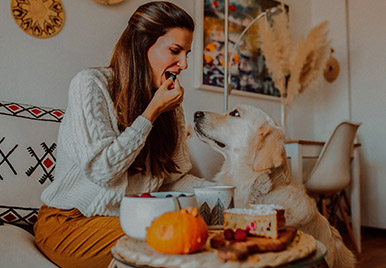 10 Alimentos que tu perro no debe consumir