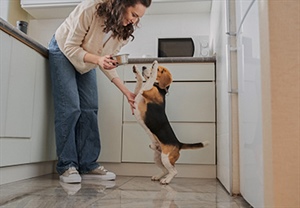 ¿QUÉ IMPACTO TIENE LA PROTEÍNA EN TU PERRO?