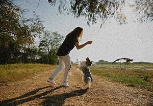 TRATAMIENTOS PARA EL ESTRÉS Y ANSIEDAD EN PERROS