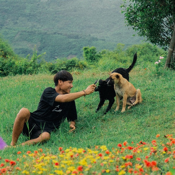 ¿QUÉ ES SER UN DOG LOVER?