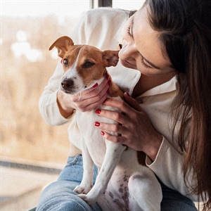 CÓMO PROTEGER LA SALUD BUCAL EN PERROS CACHORROS, ADULTOS Y SENIOR