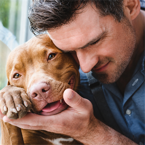 EL VÍNCULO ESPECIAL ENTRE UN DOG LOVER Y SU PERRO