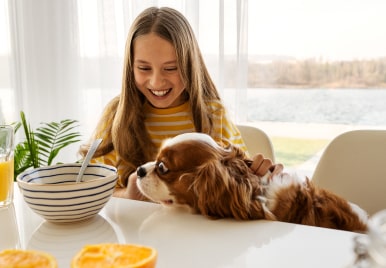 CONSEJOS PARA QUE TU PERRO NO PIDA COMIDA EN LA MESA