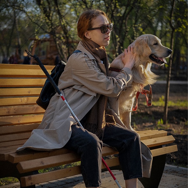 Esto debes saber de los perros guías