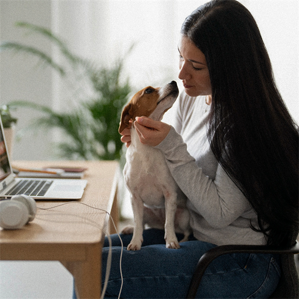 Guía para llevar a tu perro al trabajo