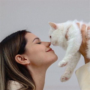 Día Internacional del Gato: Celebra y refuerza su bienestar