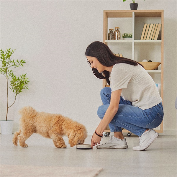 Curiosidades que no sabías del crecimiento de los cachorros