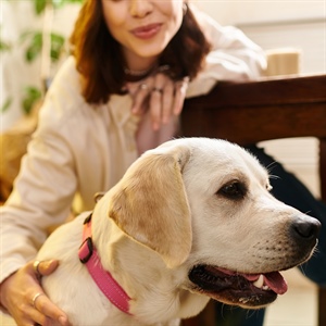 Perros guía: vínculo, confianza y bienestar emocional