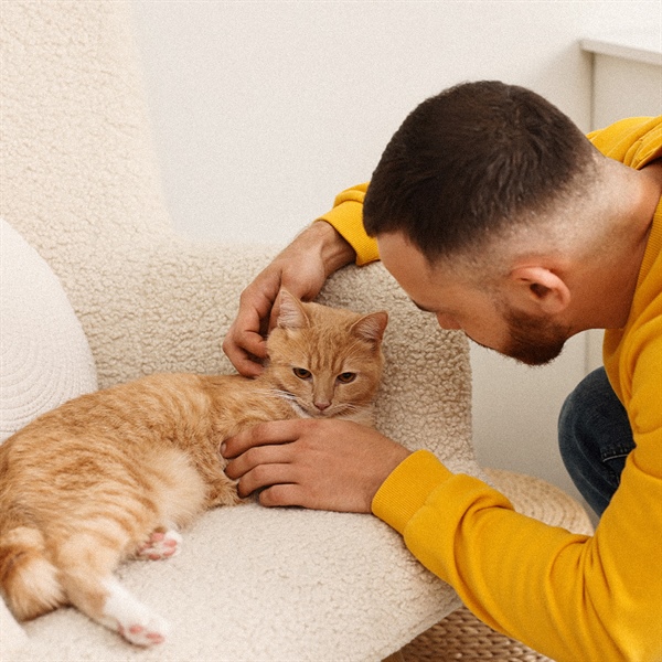 Aprende a proteger a tu gato de los parásitos