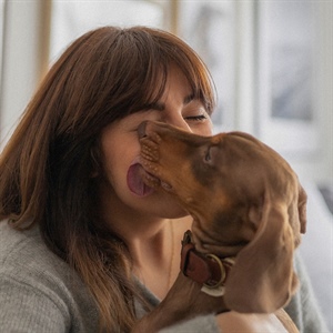 ¿Tu perro te lame mucho? Esto debes saber