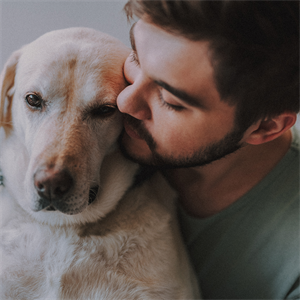 El hígado de tu perro: un trabajador silencioso