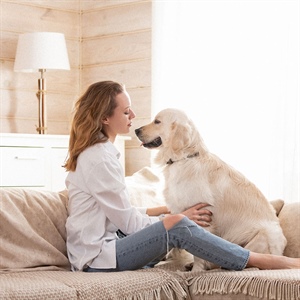 Comportamiento sexual en perros: Mitos y realidades