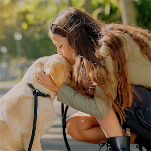 Mejora la salud mental de tu perro con su nutrición
