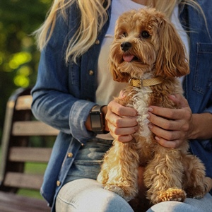 Nutriss sabe cuidar su digestión al cambiar de alimento