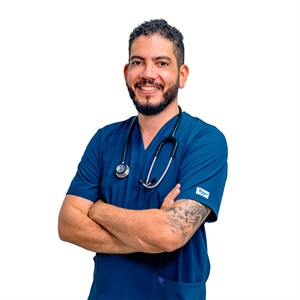 Cómo saber si un gato está sano: señales clave