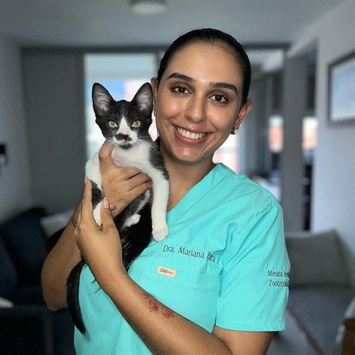 Cómo llevar a tu gato al veterinario sin estrés