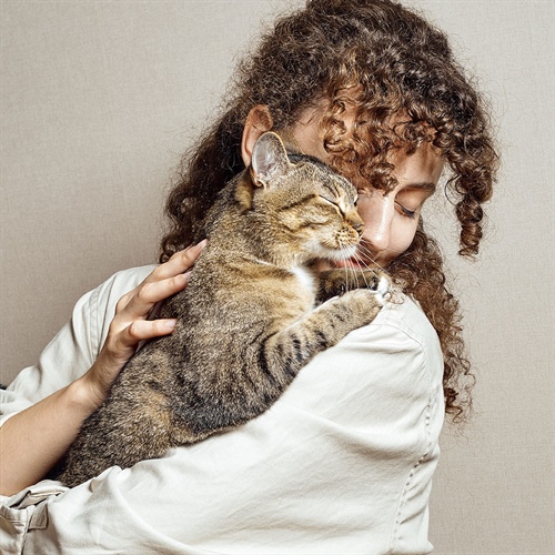 ¿A tu gato le gustan los abrazos? Descúbrelo aquí