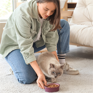 Por qué los gatos son carnívoros estrictos y su dieta ideal