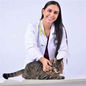 ¿Es bueno darle atún a tu gato? Evita este error