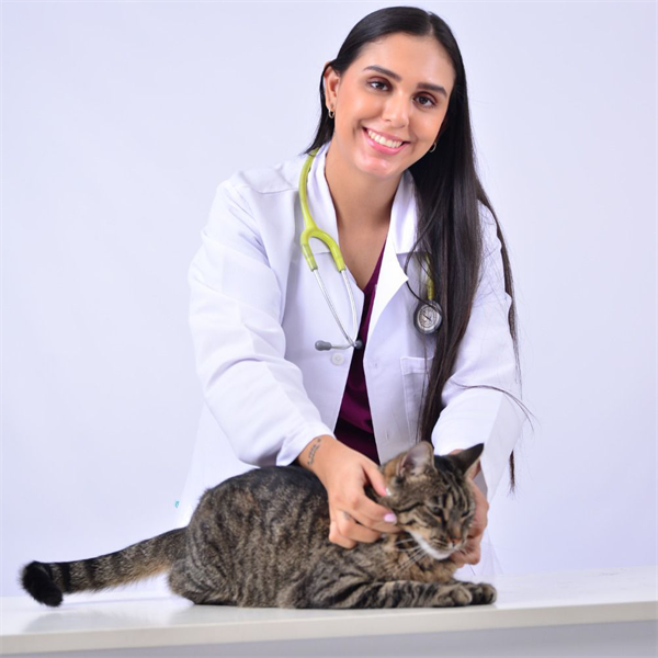¿Es bueno darle atún a tu gato? Evita este error