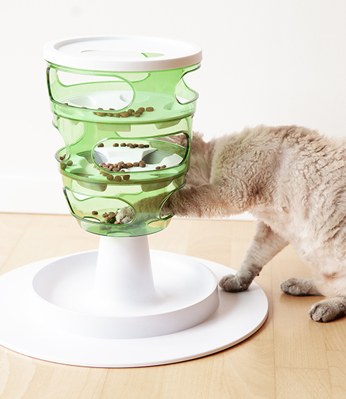 Rompecabezas para gatos: estimula su mente al comer